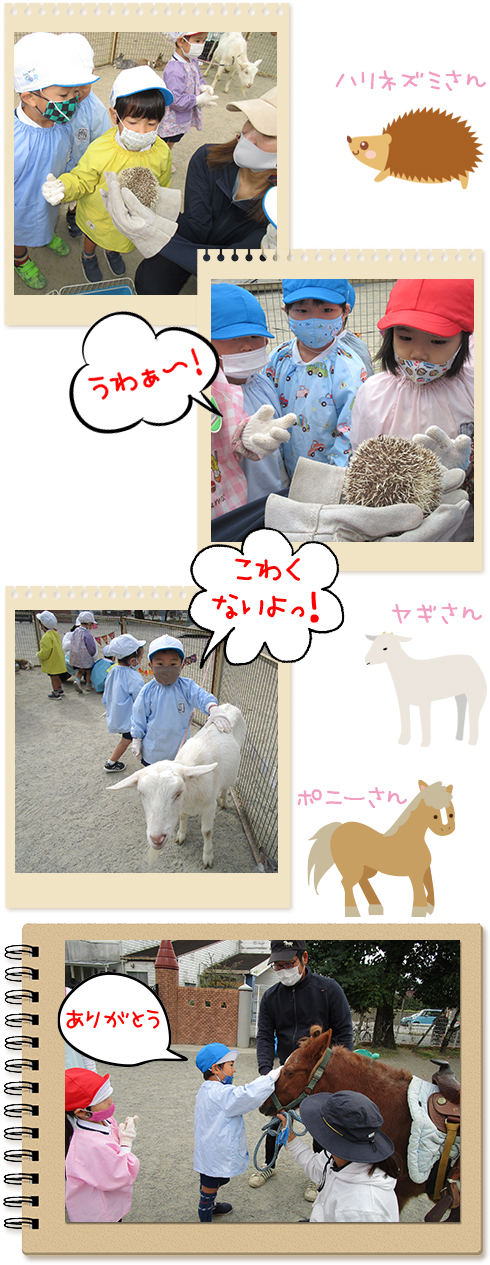 移動動物園